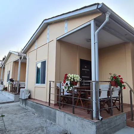 калина - нестинарка *