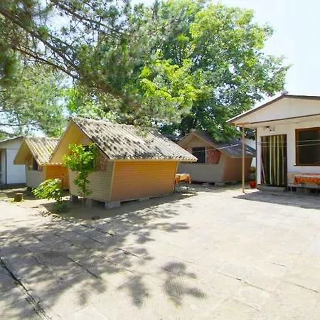 калина - нестинарка * צרבו