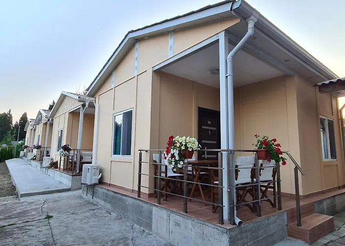 калина - нестинарка *