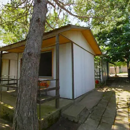 Camping калина - нестинарка Tsarevo