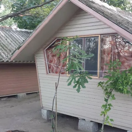 калина - нестинарка Camping *