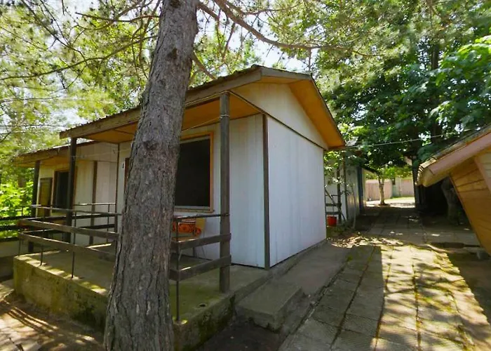 Campingplads калина - нестинарка Tsarevo