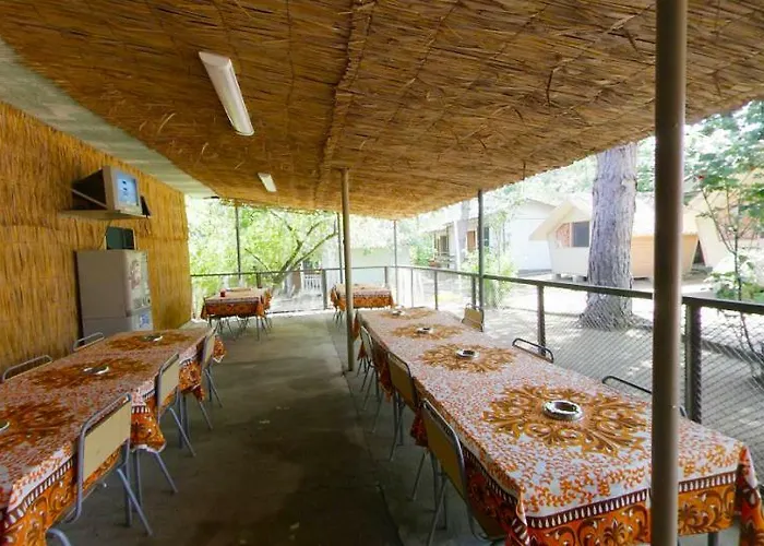 калина - нестинарка